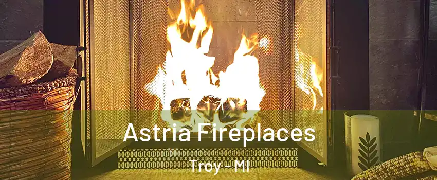  Astria Fireplaces Troy - MI
