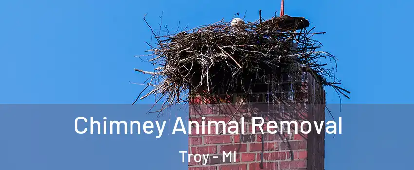 Chimney Animal Removal Troy - MI