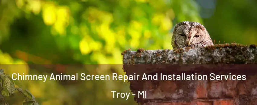  Chimney Animal Screen Repair And Installation Services Troy - MI