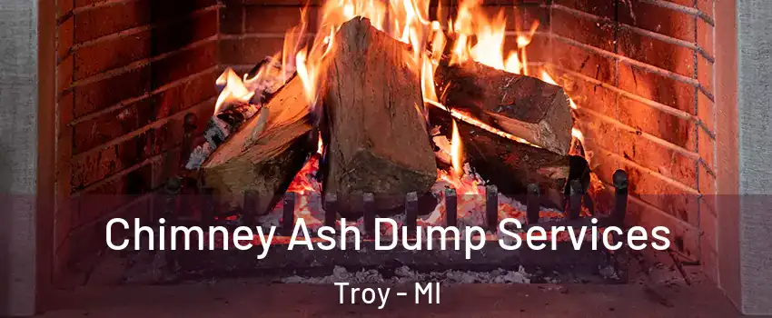  Chimney Ash Dump Services Troy - MI