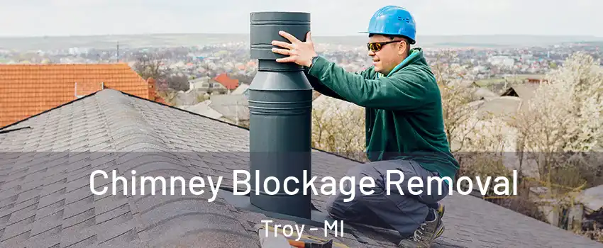  Chimney Blockage Removal Troy - MI