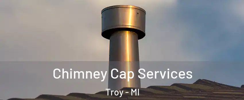  Chimney Cap Services Troy - MI