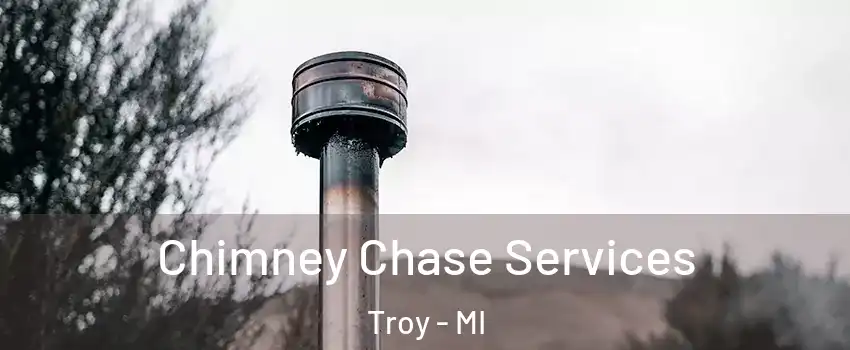 Chimney Chase Services Troy - MI