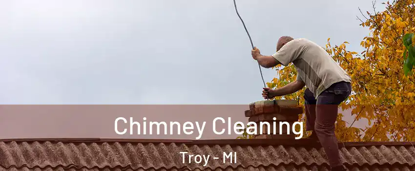  Chimney Cleaning Troy - MI