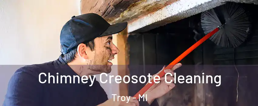  Chimney Creosote Cleaning Troy - MI