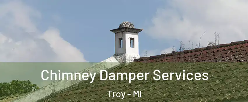  Chimney Damper Services Troy - MI