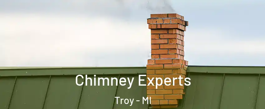  Chimney Experts Troy - MI