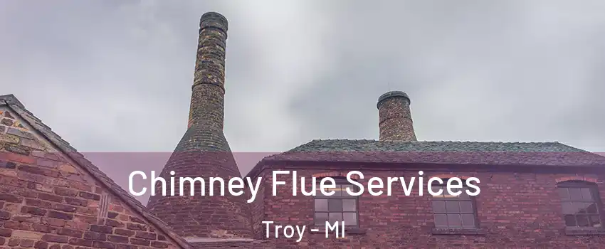 Chimney Flue Services Troy - MI