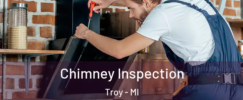  Chimney Inspection Troy - MI