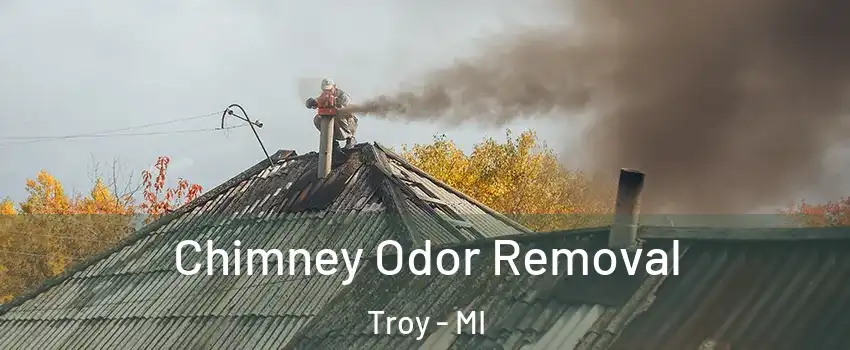  Chimney Odor Removal Troy - MI