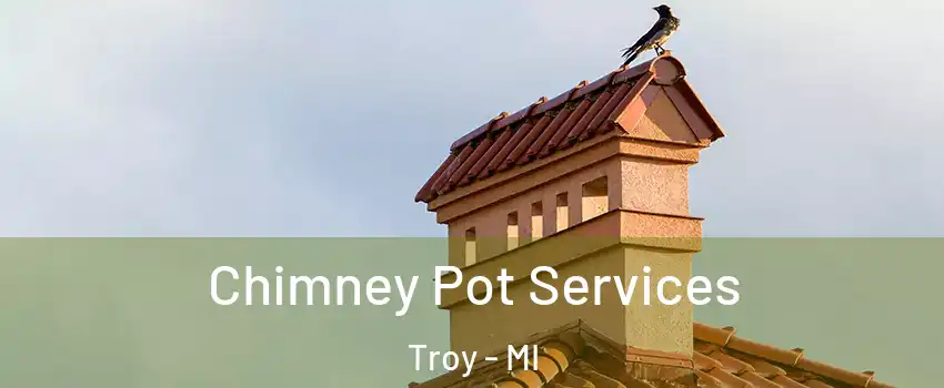  Chimney Pot Services Troy - MI