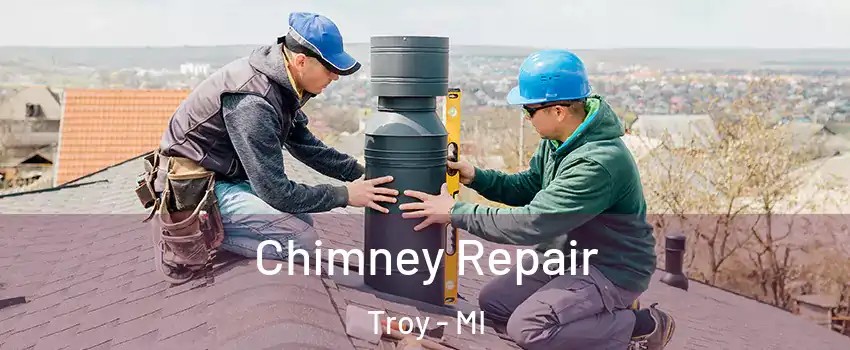  Chimney Repair Troy - MI