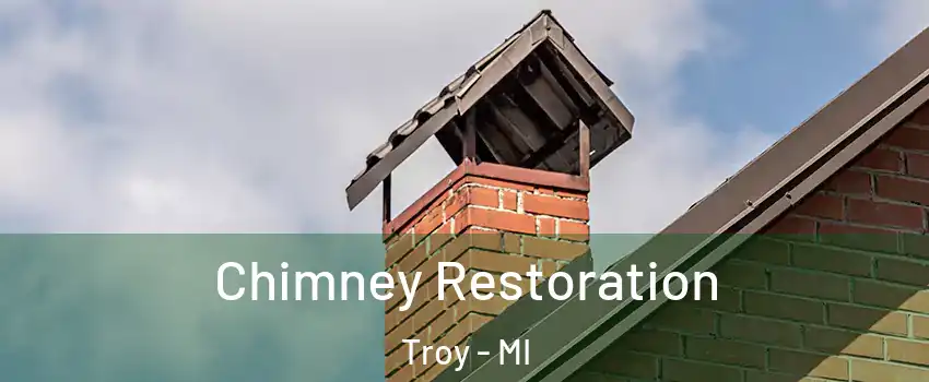  Chimney Restoration Troy - MI