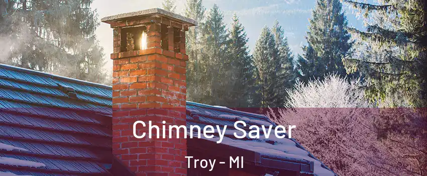  Chimney Saver Troy - MI