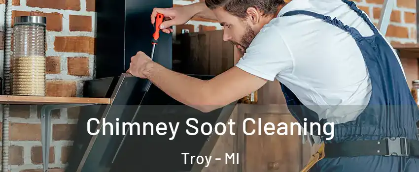  Chimney Soot Cleaning Troy - MI