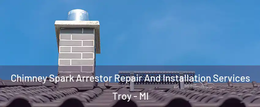  Chimney Spark Arrestor Repair And Installation Services Troy - MI