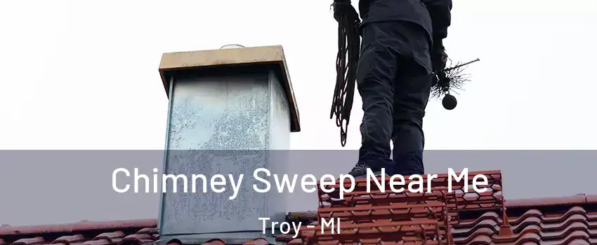  Chimney Sweep Near Me Troy - MI