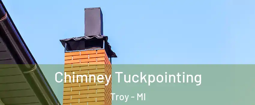  Chimney Tuckpointing Troy - MI