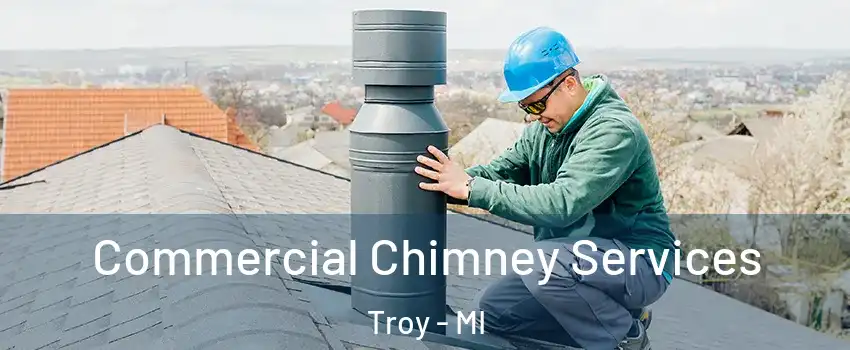  Commercial Chimney Services Troy - MI