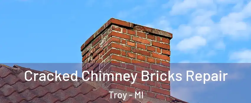  Cracked Chimney Bricks Repair Troy - MI