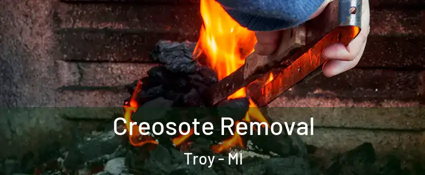  Creosote Removal Troy - MI