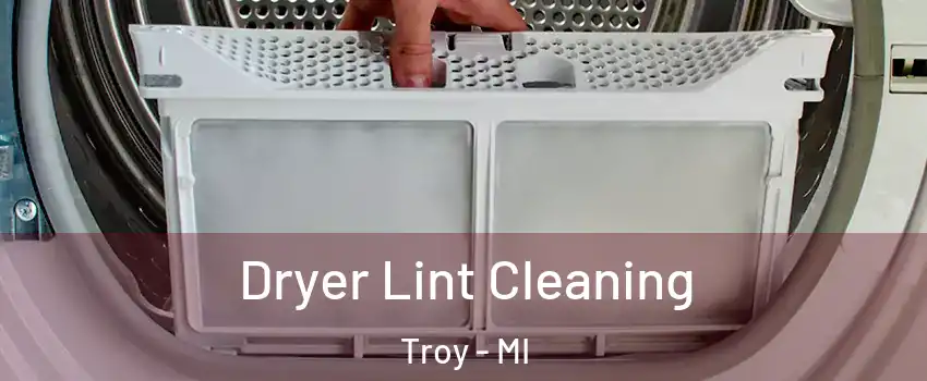  Dryer Lint Cleaning Troy - MI