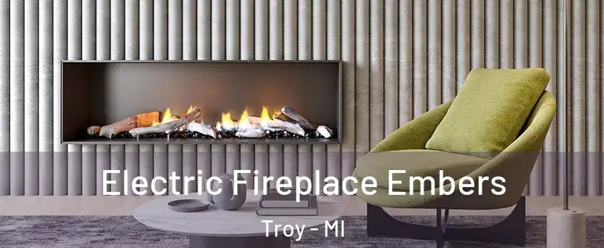  Electric Fireplace Embers Troy - MI