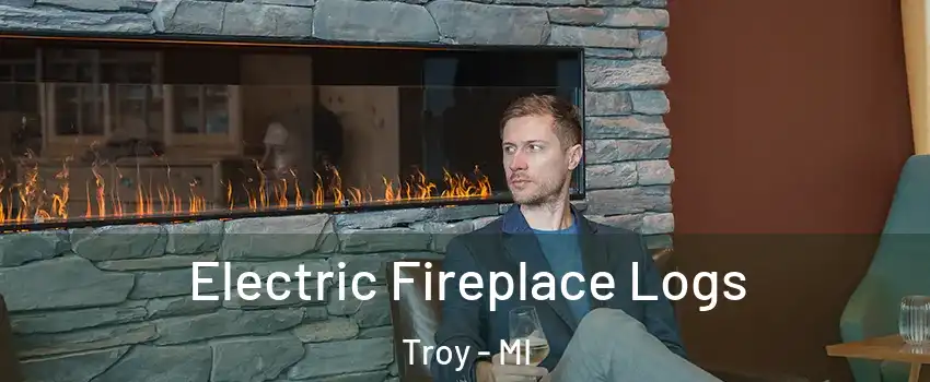  Electric Fireplace Logs Troy - MI