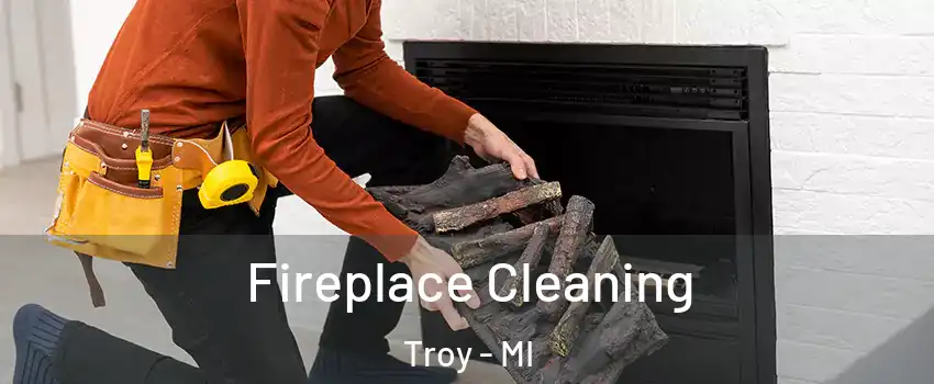  Fireplace Cleaning Troy - MI
