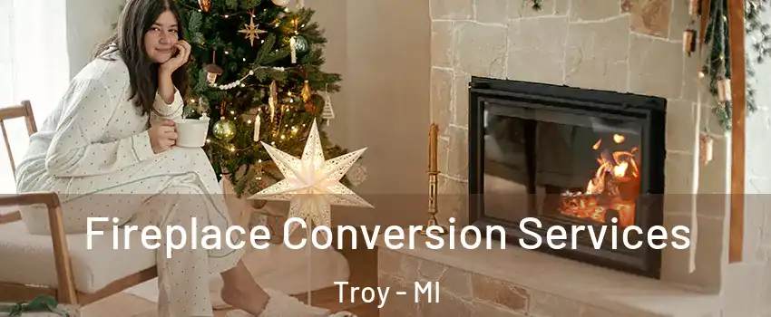  Fireplace Conversion Services Troy - MI