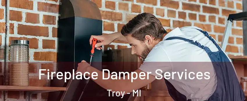  Fireplace Damper Services Troy - MI