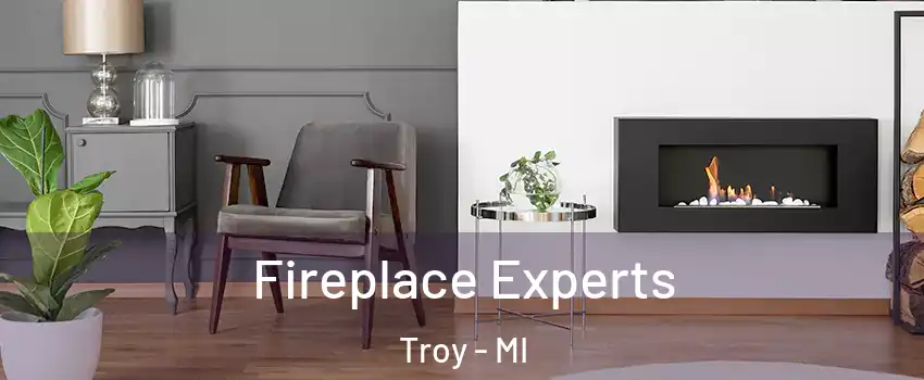  Fireplace Experts Troy - MI