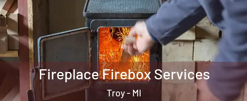  Fireplace Firebox Services Troy - MI
