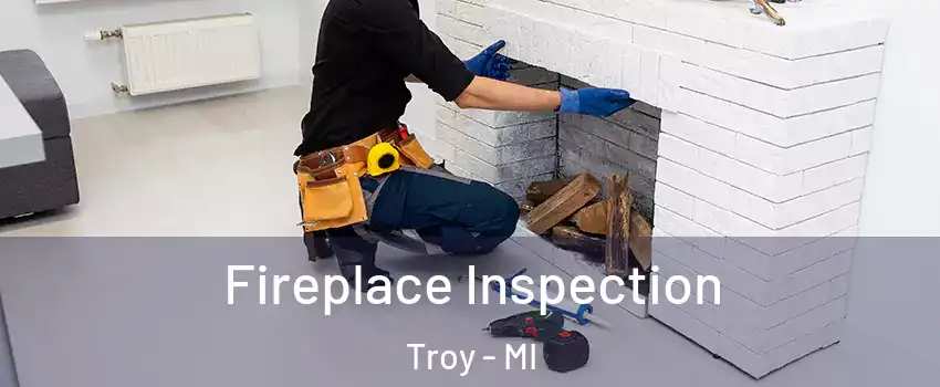  Fireplace Inspection Troy - MI
