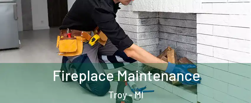  Fireplace Maintenance Troy - MI