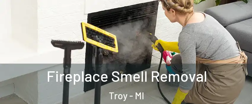  Fireplace Smell Removal Troy - MI