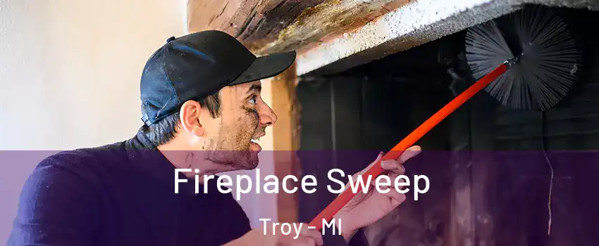  Fireplace Sweep Troy - MI