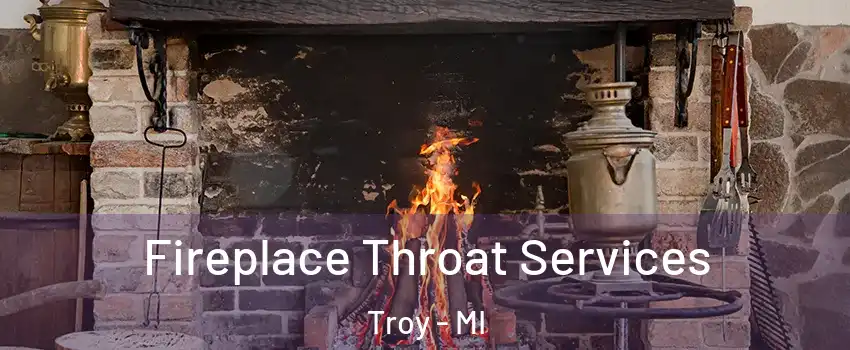  Fireplace Throat Services Troy - MI