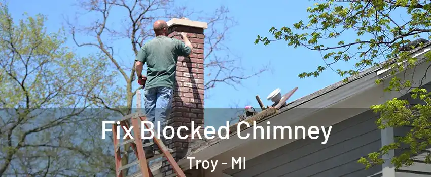  Fix Blocked Chimney Troy - MI