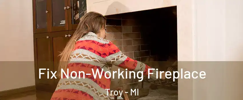  Fix Non-Working Fireplace Troy - MI
