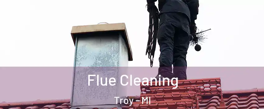  Flue Cleaning Troy - MI