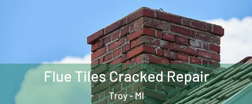  Flue Tiles Cracked Repair Troy - MI