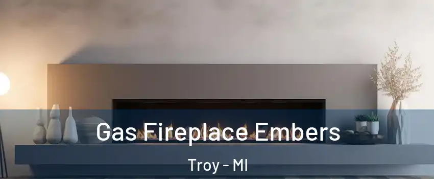  Gas Fireplace Embers Troy - MI