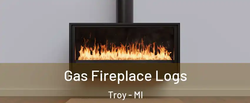  Gas Fireplace Logs Troy - MI