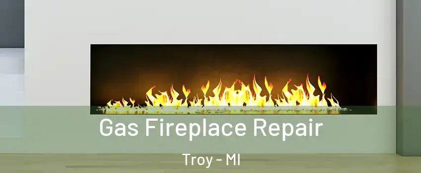  Gas Fireplace Repair Troy - MI
