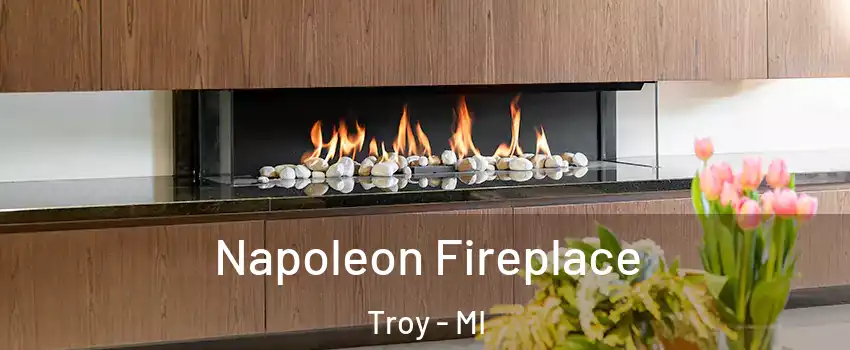  Napoleon Fireplace Troy - MI