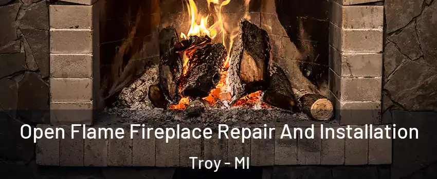  Open Flame Fireplace Repair And Installation Troy - MI