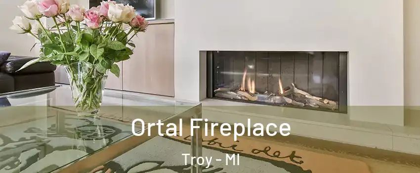 Ortal Fireplace Troy - MI