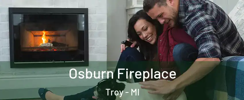  Osburn Fireplace Troy - MI