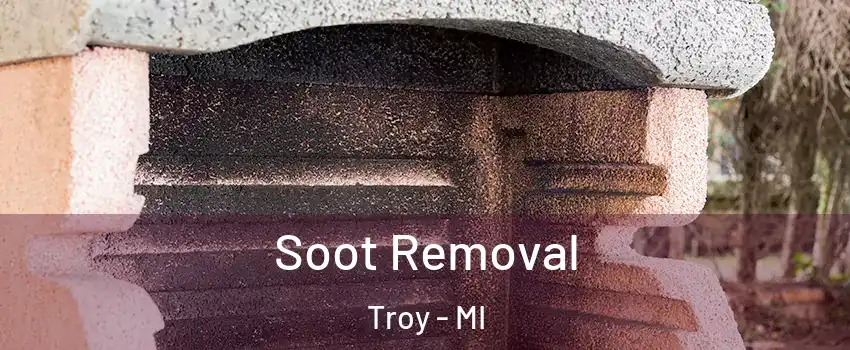  Soot Removal Troy - MI
